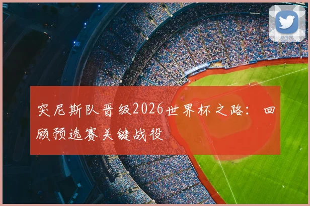 突尼斯队晋级2026世界杯之路：回顾预选赛关键战役